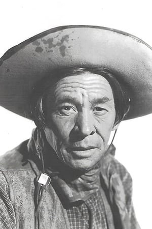 Stevens